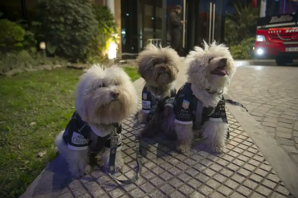 La defensa de atlético cuando juega de visitante