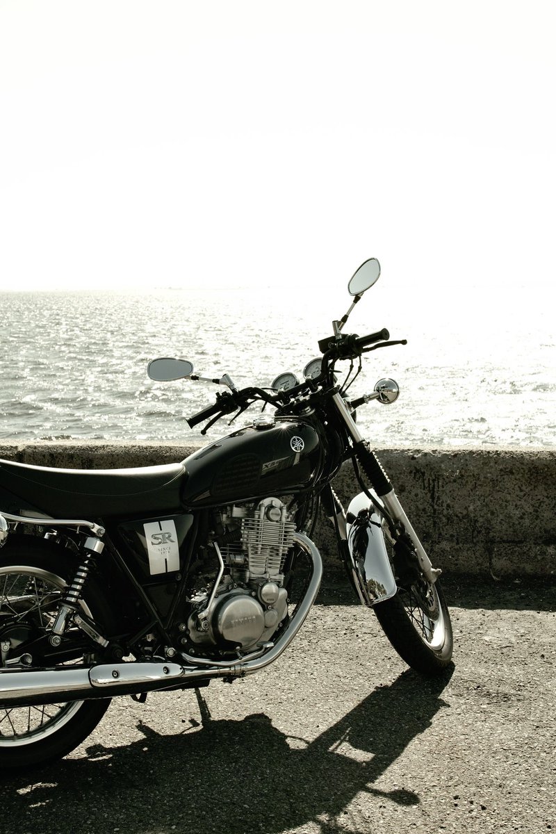 高橋 Big fish tweet media