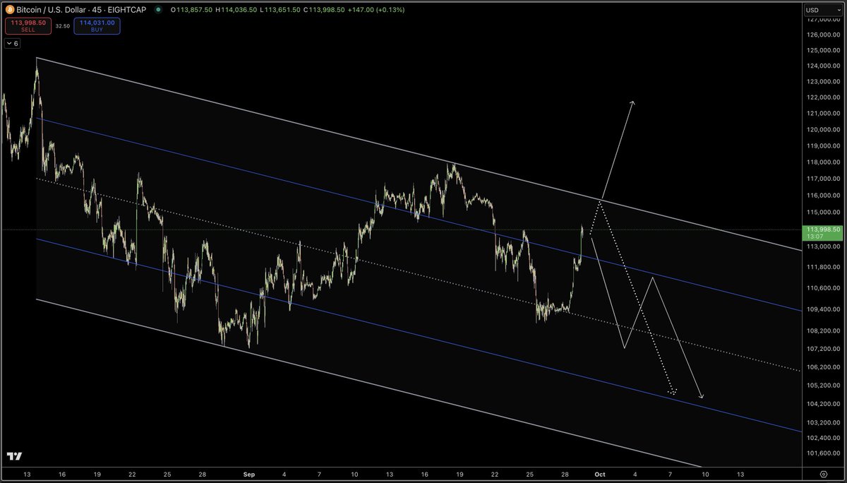 Swing Trader tweet media