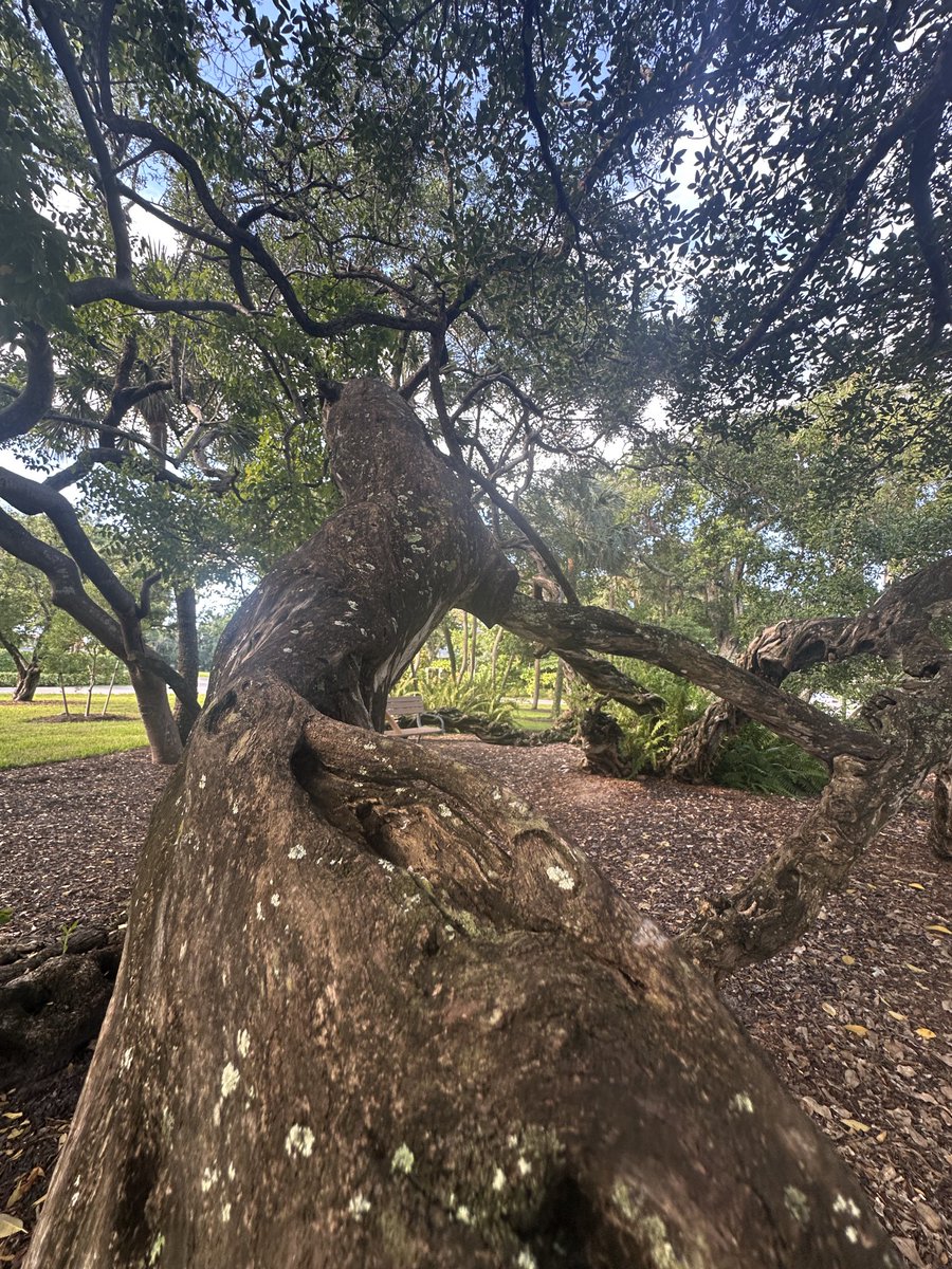 Maria Fadiman tweet media