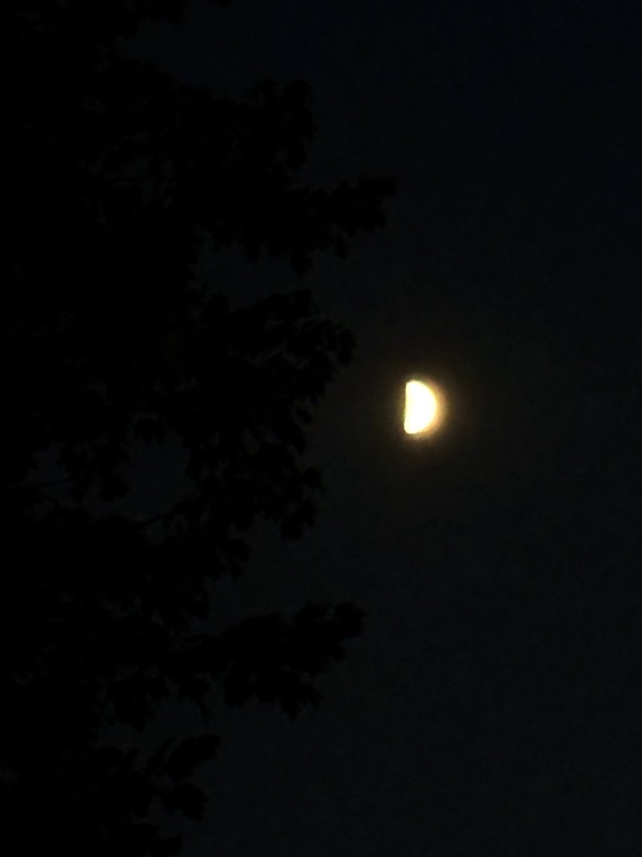 KJohnson2866's tweet image. Night