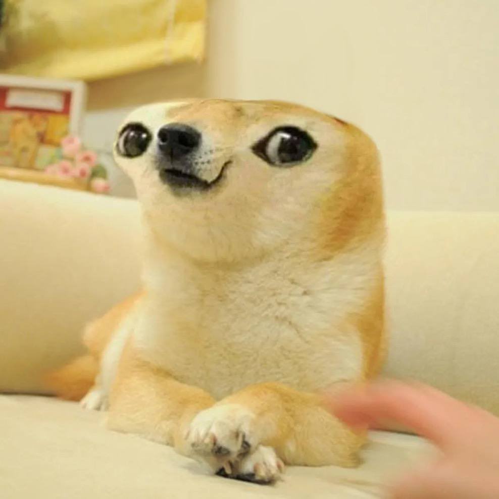 Doeg tweet media