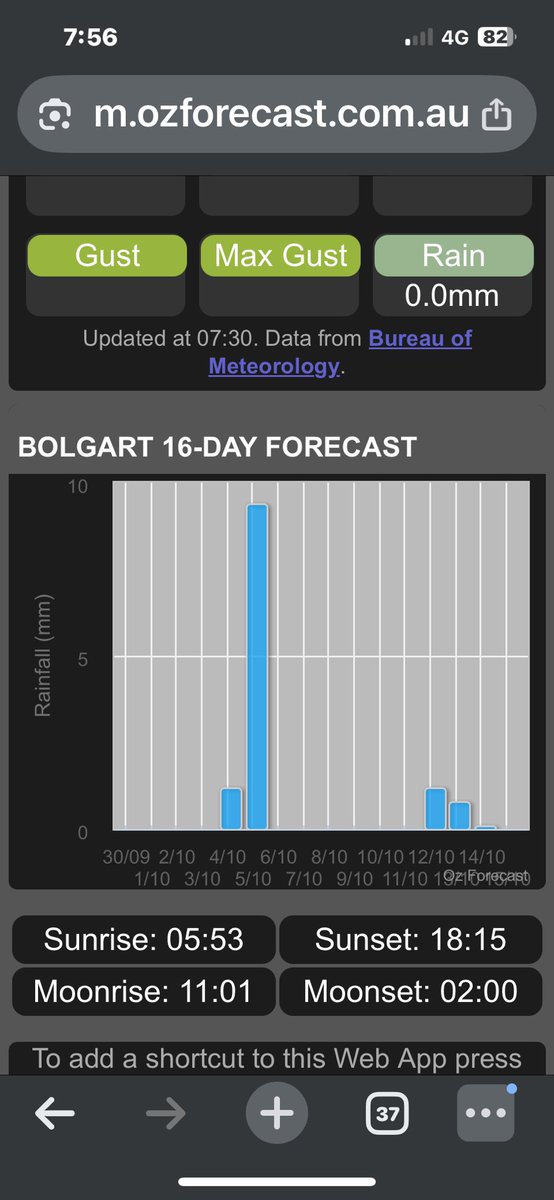 JJB McGill esquire Hoolz. living on McGill land tweet media