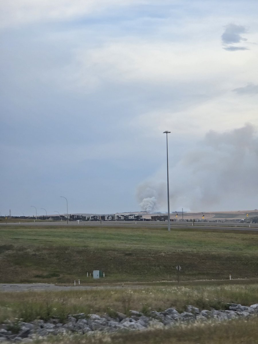 Andrei R Toma 🇷🇴🇨🇦 tweet media