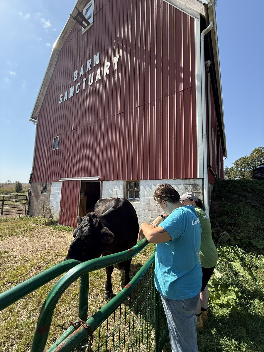 Barn Sanctuary tweet media