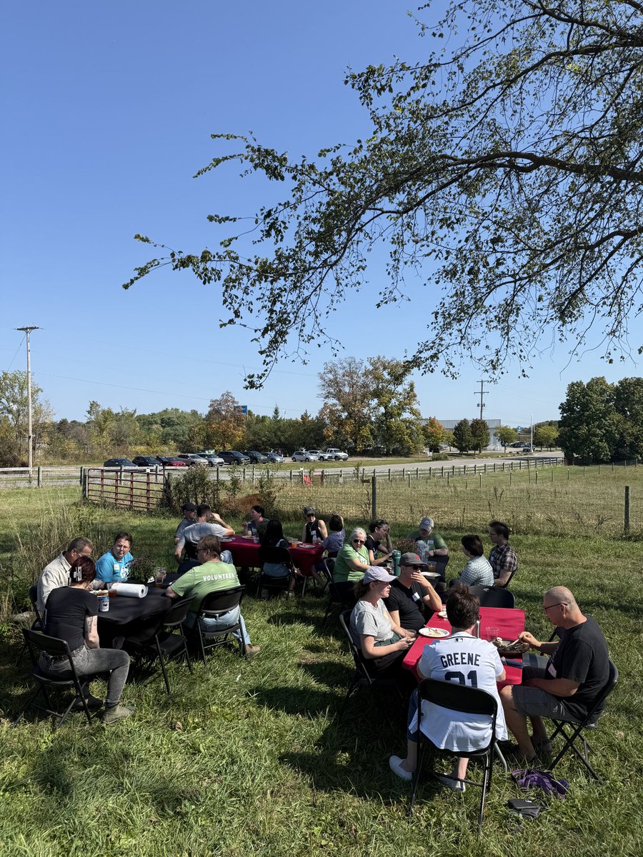 Barn Sanctuary tweet media