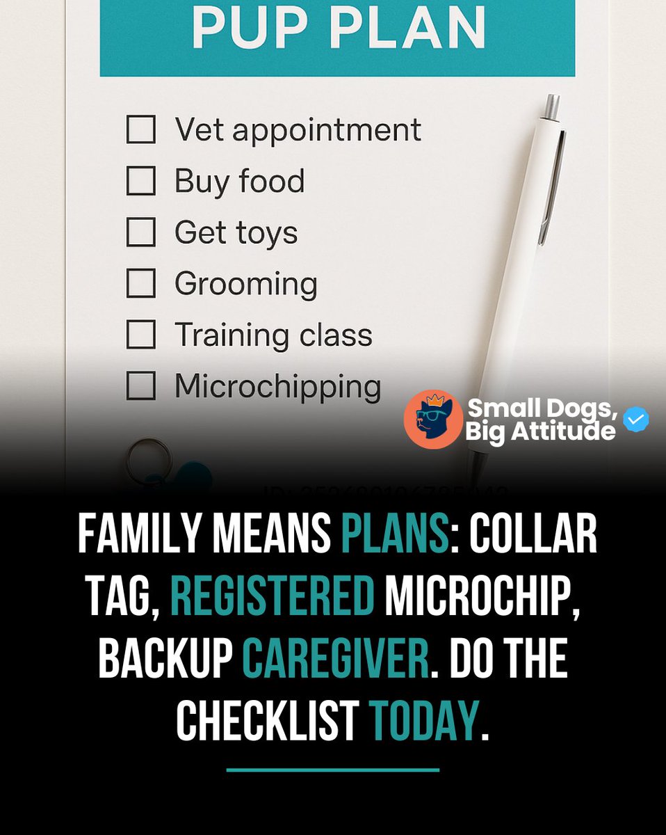 SmlDogs_BigAtti's tweet image. Tag, registered chip, backup caregiver—checked. #PetPreparedness #SmallDog #Family