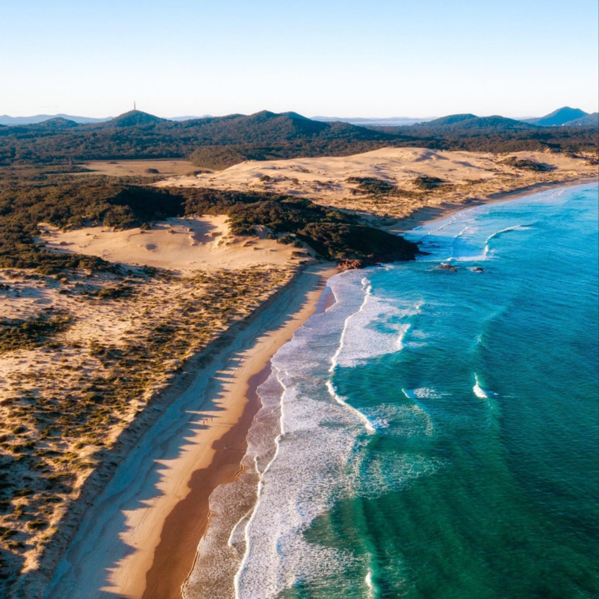 Just a short, beautiful walk from the sanctuary you’ll find One Mile Beach. The perfect spot to stretch your legs, take in the ocean views, or cool off after a day hanging out with our resident koalas. 🌊🐨✨

📸 @vanlifetheory  

Book Now: bit.ly/3ItgrE6