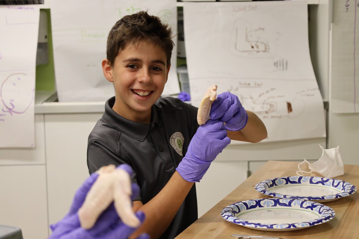 Aspen_Academy's tweet image. Anatomy in action! 💪 Our 8th graders recently got hands-on with a chicken wing dissection, exploring how muscles and tendons connect to create movement. What a great way to bring science to life! ✨

#aspenacademy #sciencerocks