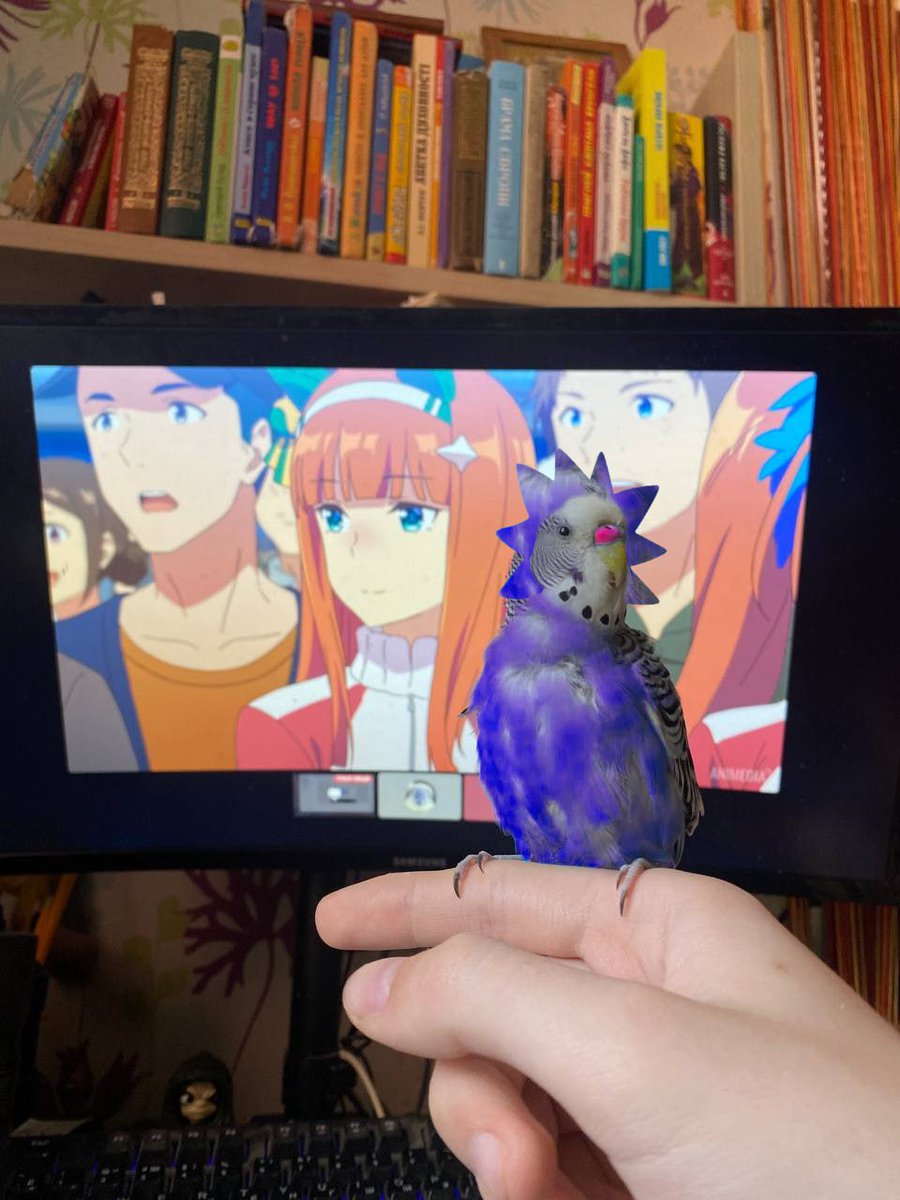 BudgieChog <a href="/ChogNFT/">Chog</a>