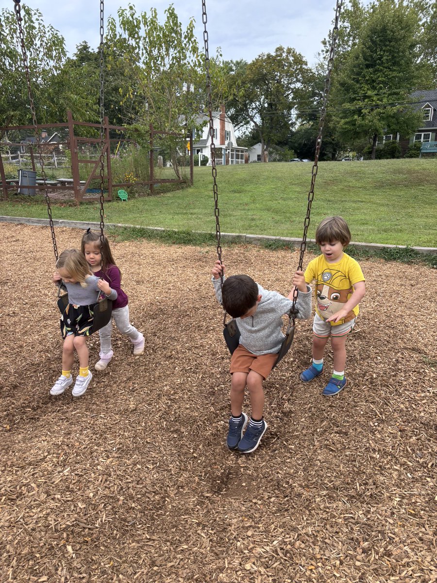 Brenda Pfau tweet media