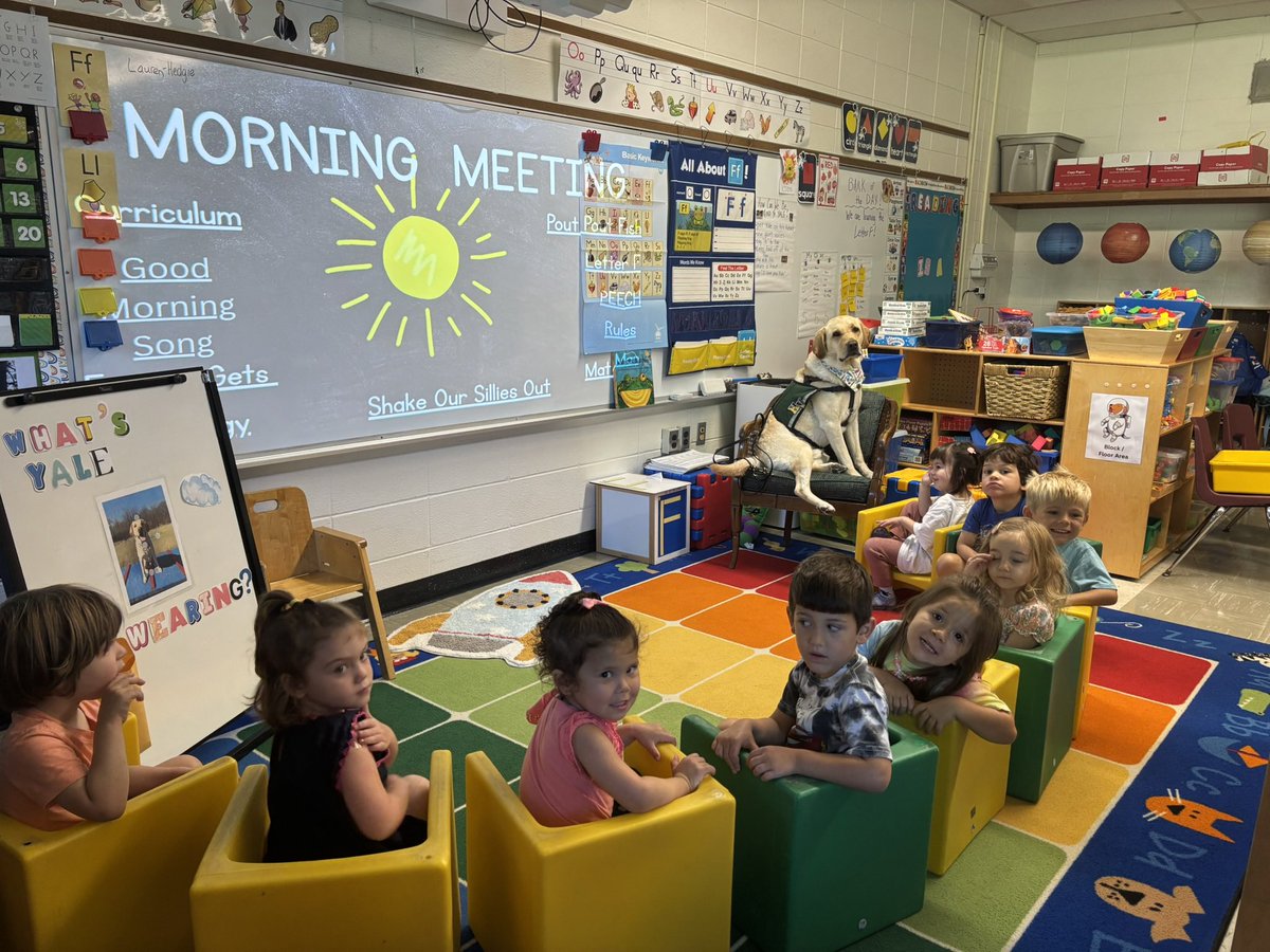 Brenda Pfau tweet media