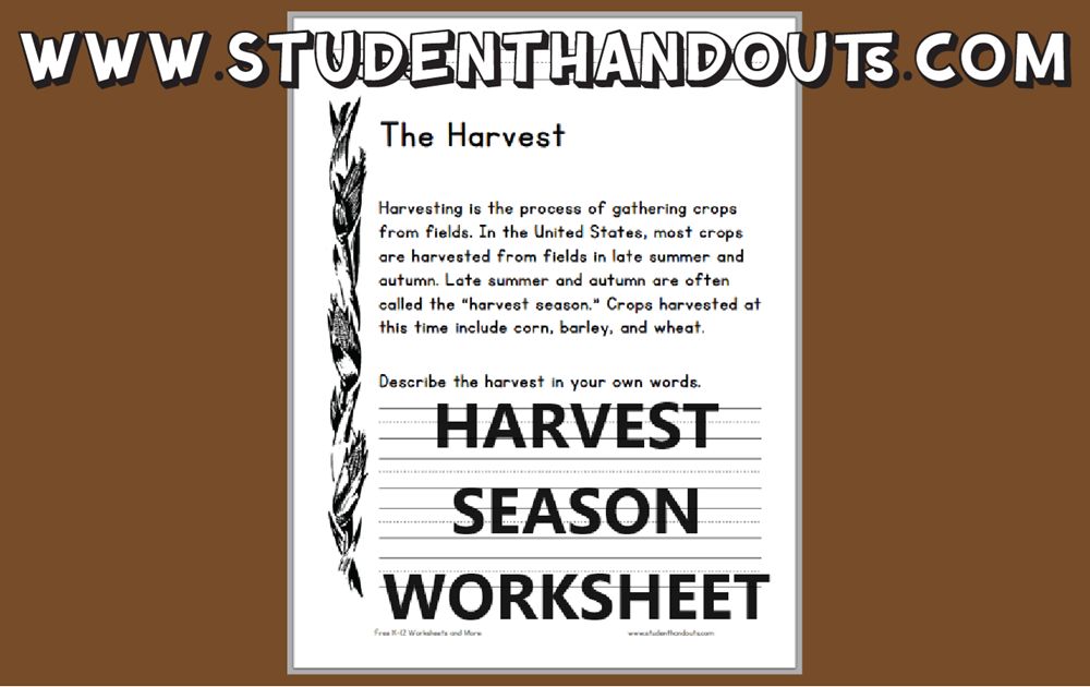 studenthandouts's tweet image. Harvest Season Primary Worksheet - Free to print (PDF file). #autumnseason #lowerelementary #freeprintable #ela #languagearts studenthandouts.com/fun/seasons/au…