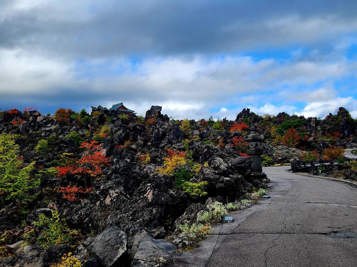 foil　EVE・溢れかえる果樹園/Flooded Grove　２枚 foil EVE・溢れかえる果樹園/Flooded Grove 2枚 MTG 溢れかえる