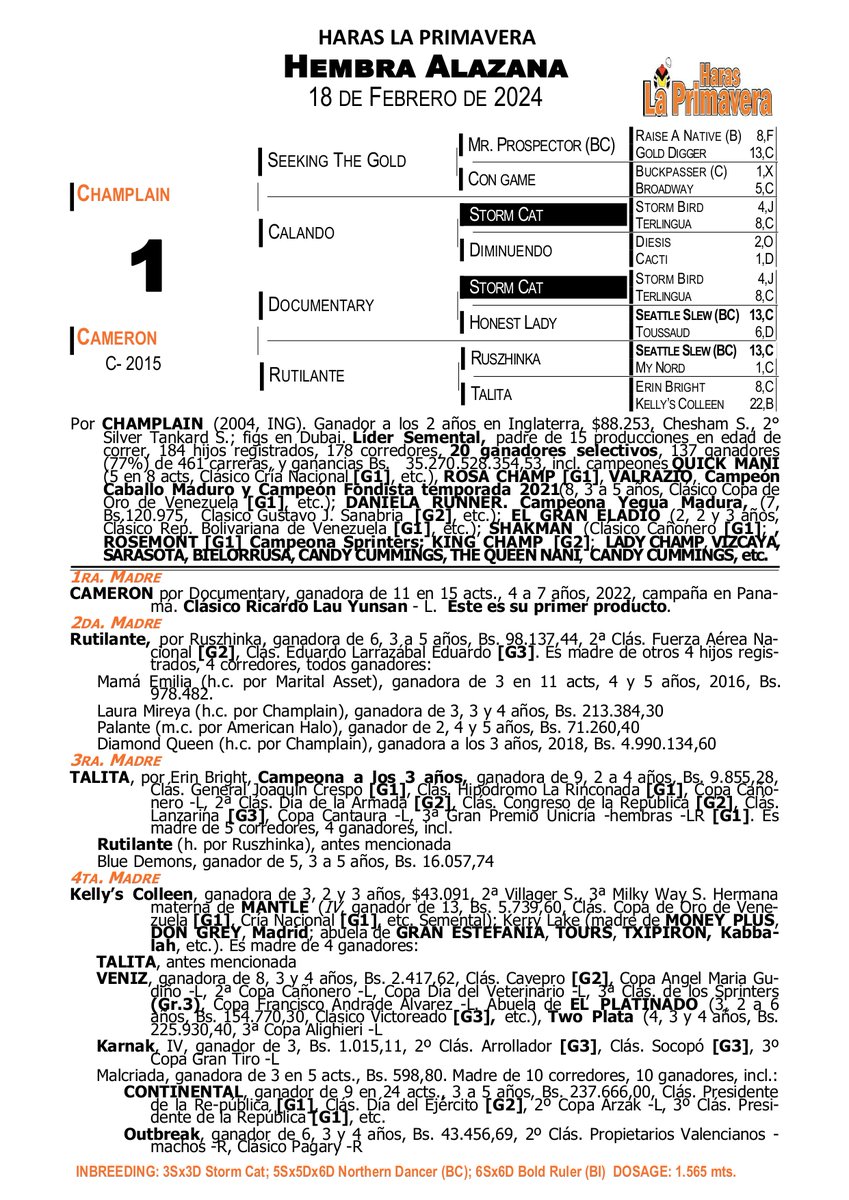 Con mucho orgullo presentamos esta preciosa hembra alazana. Primera hija de nuestra Cameron, ganadora clásica en Panamá, por el líder padrillo Champlain. Un pedigrí de lujo imbreed 3x3 STORM CAT.
#SOMOSLAPRIMAVERA🏆
#HIPISMO 🏇
#VENEZUELA 🇻🇪
