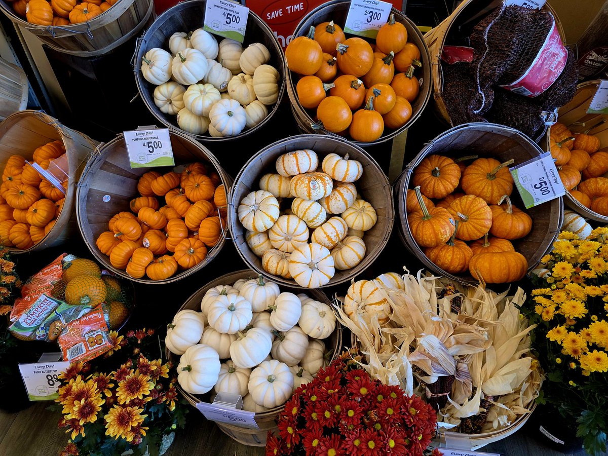 поебать, если честно (@pankovtim) on Twitter photo 