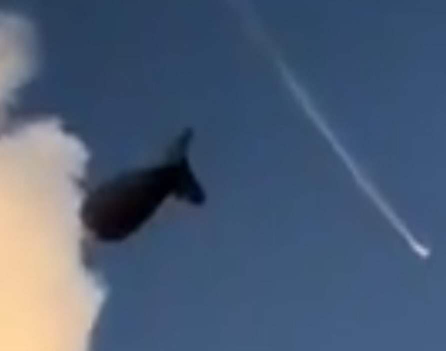 Magnum1ooo tweet media