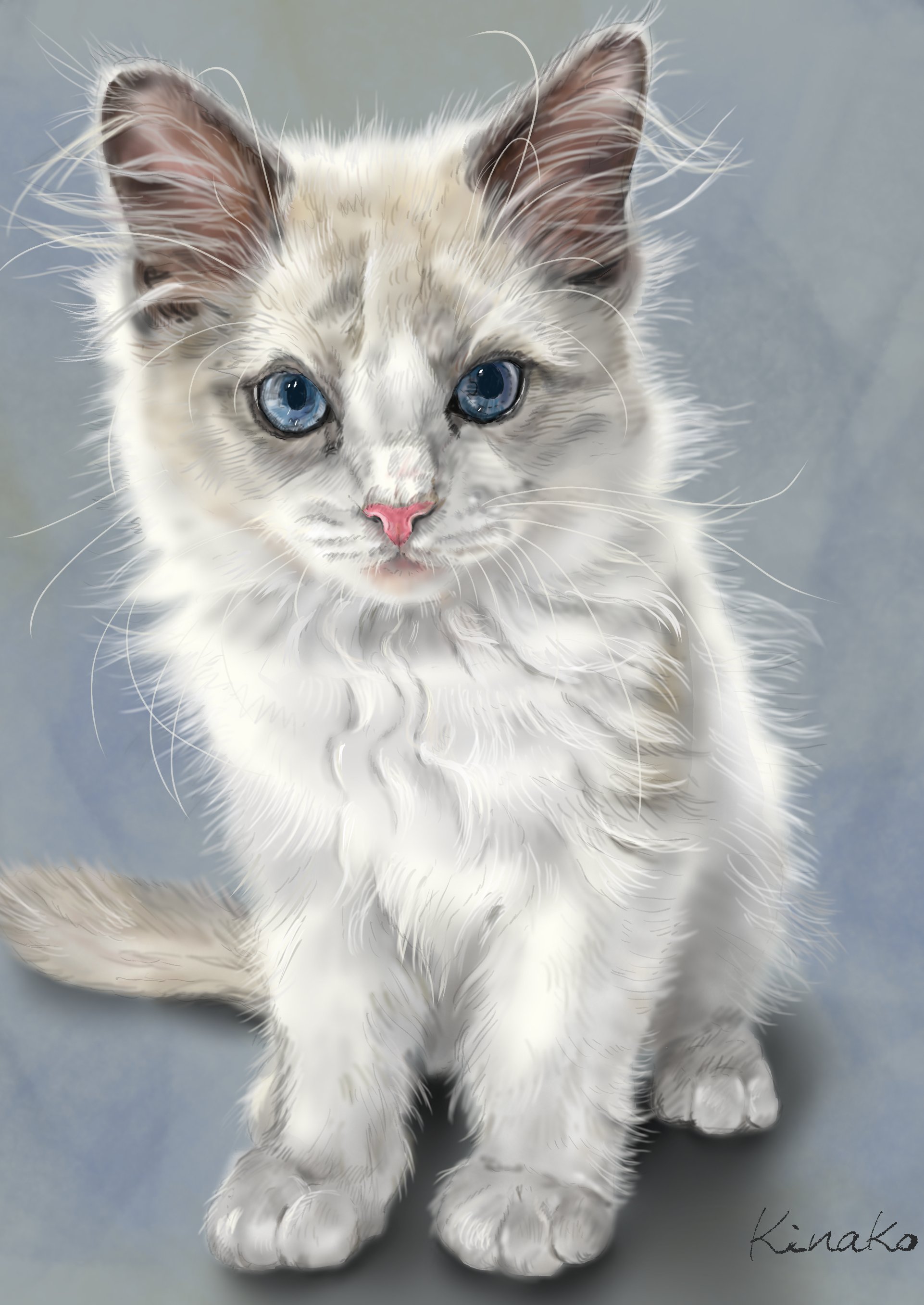 きなこ(猫の絵を描いています） on X: 