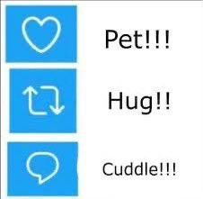 How will you show affection to the Squid Sisters?