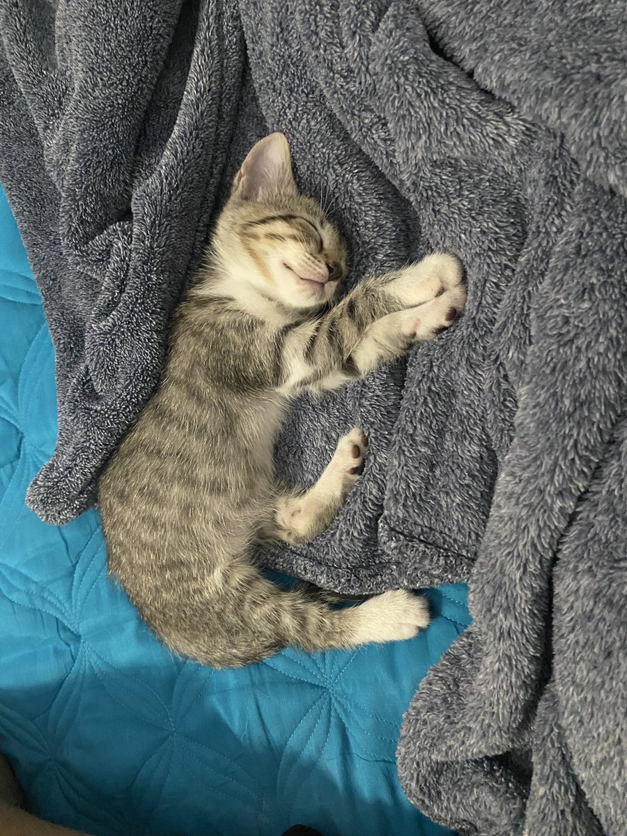 DrillMaster9🚀 tweet media