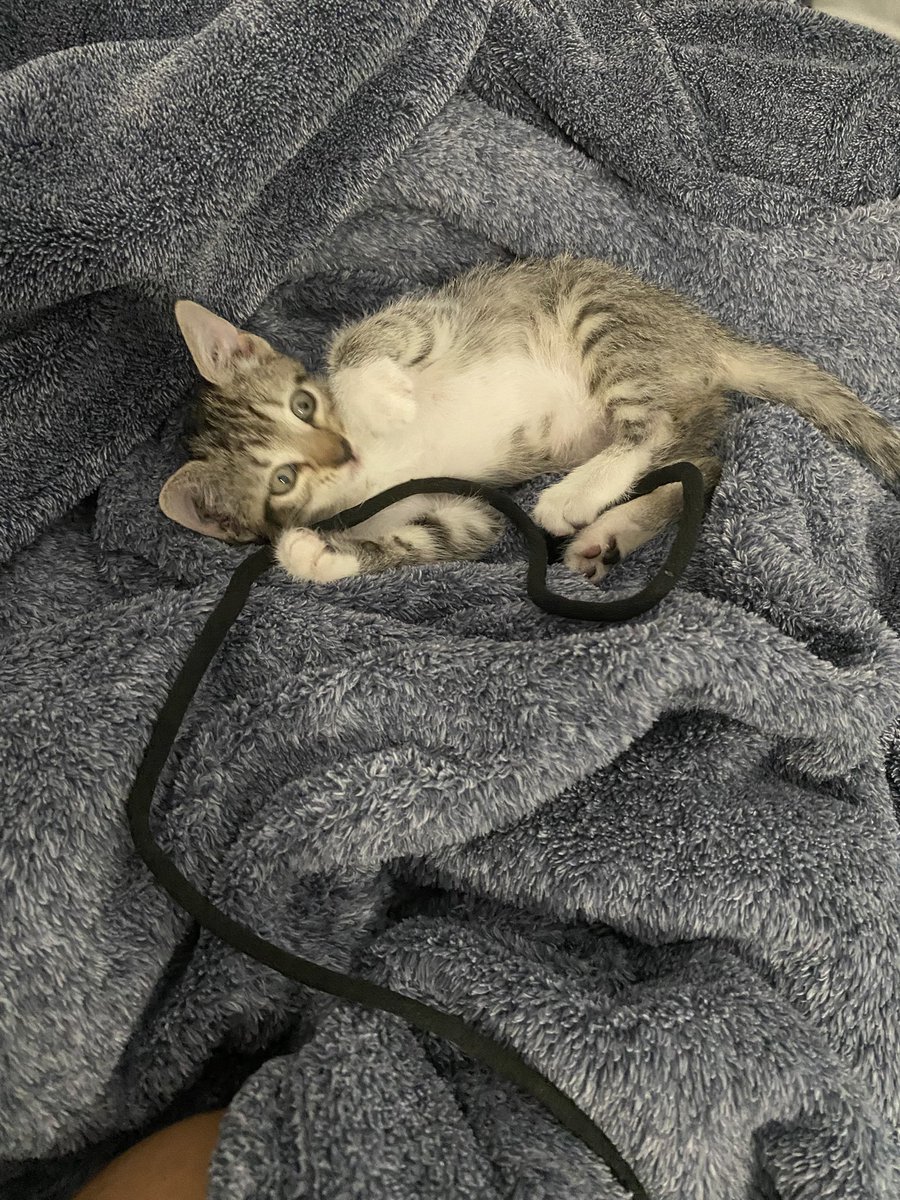 DrillMaster9🚀 tweet media