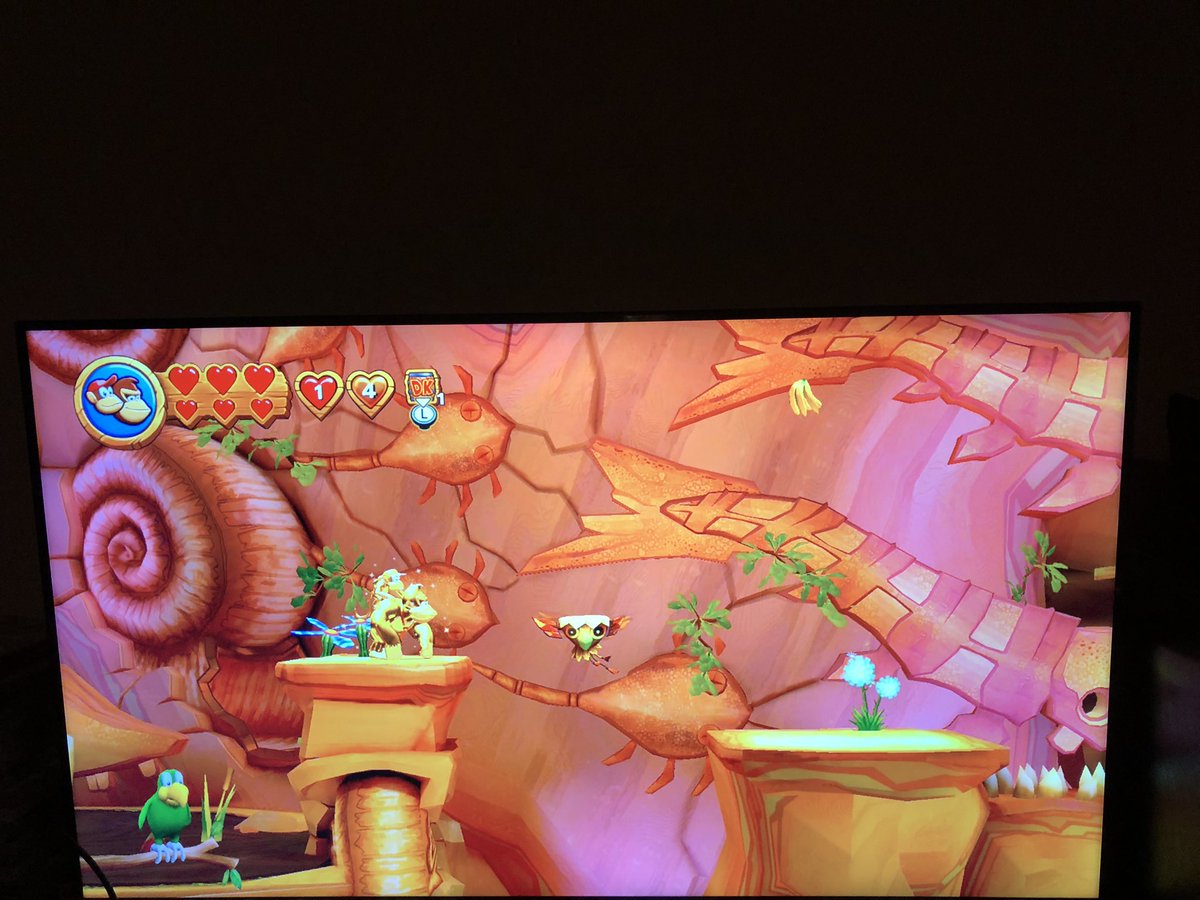 waluigibag's tweet photo. 9-6 TAR BALL FALL! 

#DonkeyKongCountryReturnsHD #NintendoSwitch2 #NintendoSwitch #DonkeyKong #DiddyKong #Squawks https://t.co/YcxfhuyiUN
