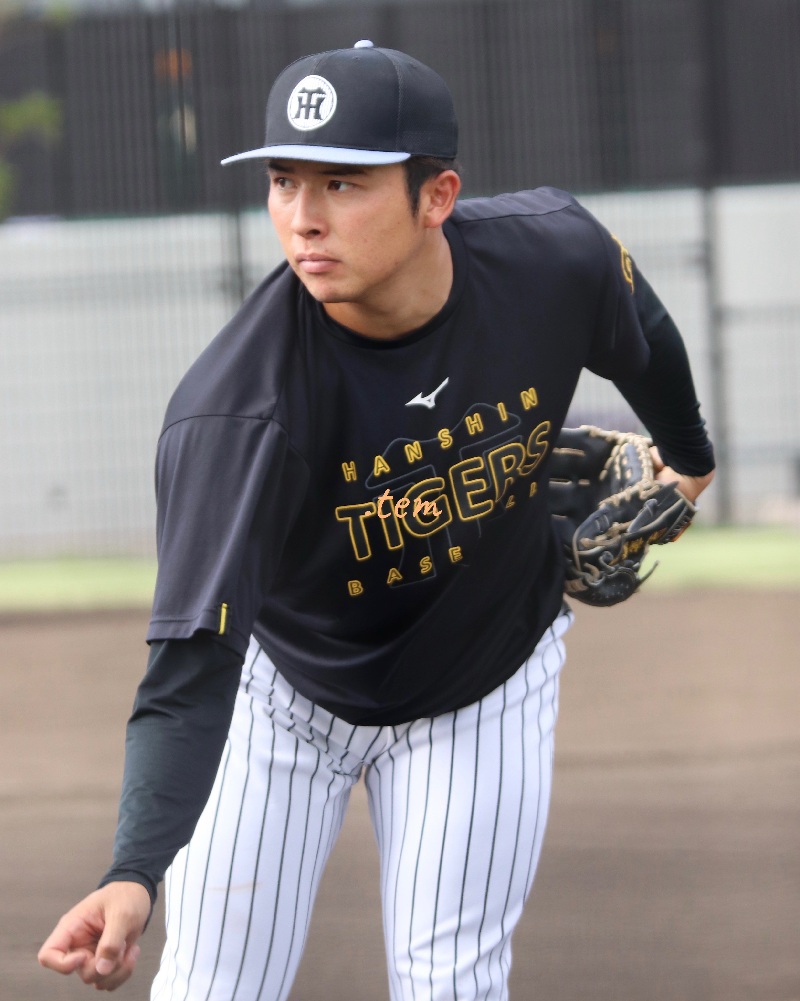 公式完売品　阪神タイガース　Mサイズ　状態良好 楽天市場】阪神タイガースグッズ 虎顔下敷き : 89キングダム