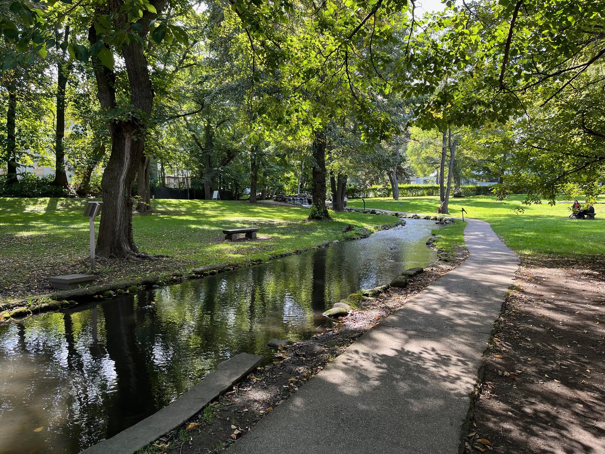 Lisse💕 tweet media