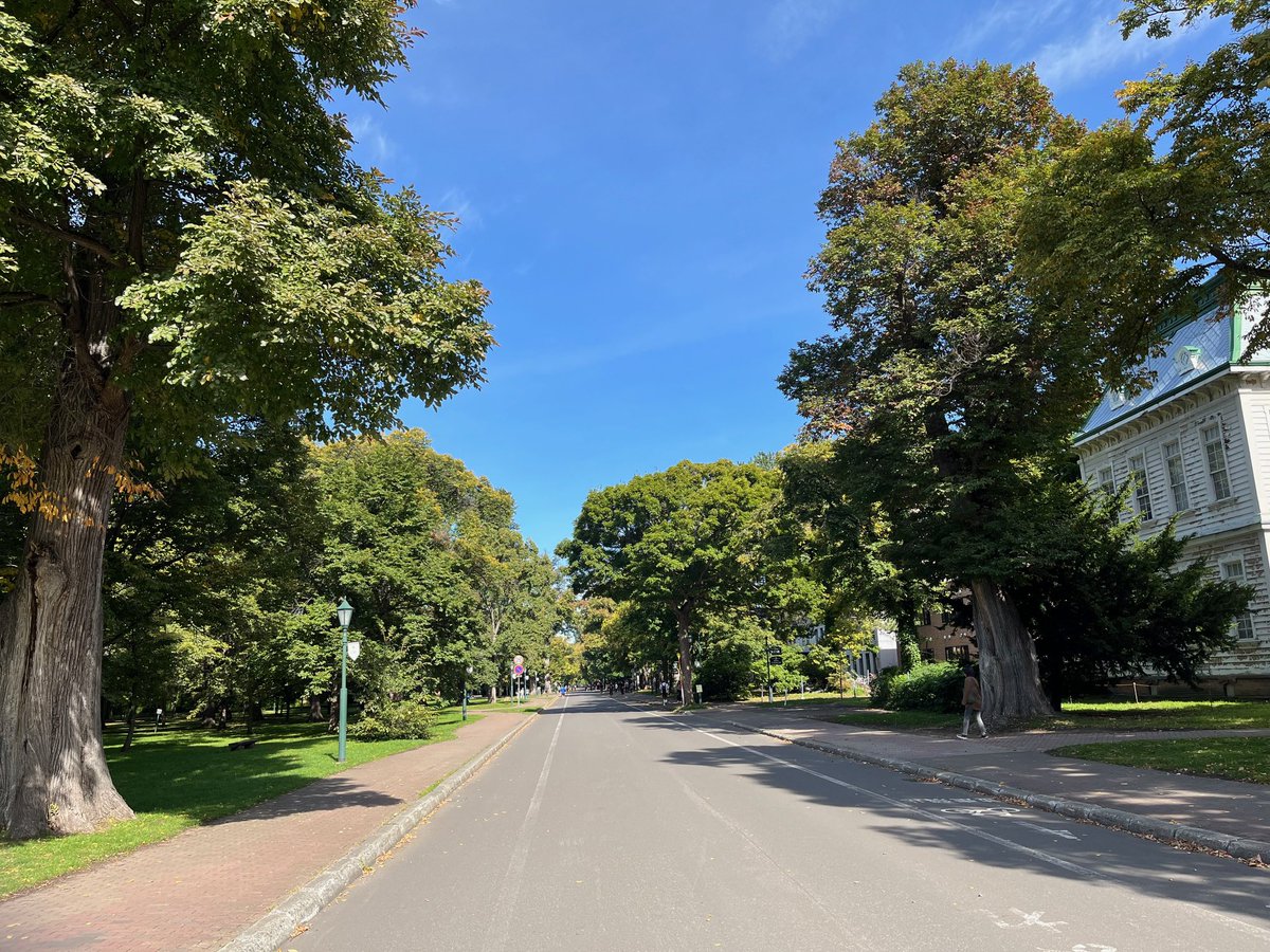 Lisse💕 tweet media