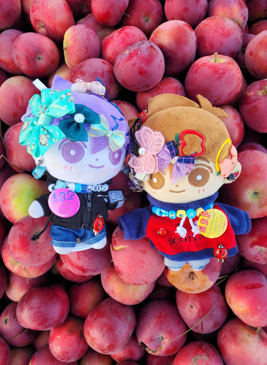 ☆-- paigey ⊬ tweet media