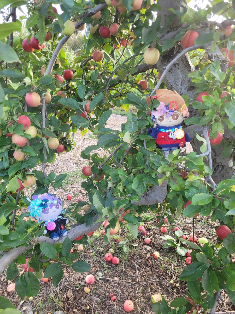 ☆-- paigey ⊬ tweet media