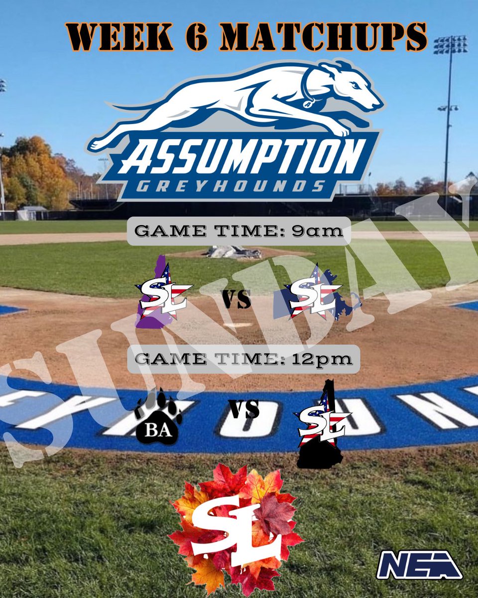 showcase_league's tweet image. We are excited to announce we will be traveling to @AssumptionBASE for the final weekend of regular season play on SUNDAY! 

G1: @MATeamNavy v @nhteampurple First Pitch: 9AM

G2: @the_baboys v @NHTeamBlack 

#FallTradition #TheLeague #NavyBoys #TeamBlack #TeamPurp #BABoys 🏴‍☠️🫟🌀