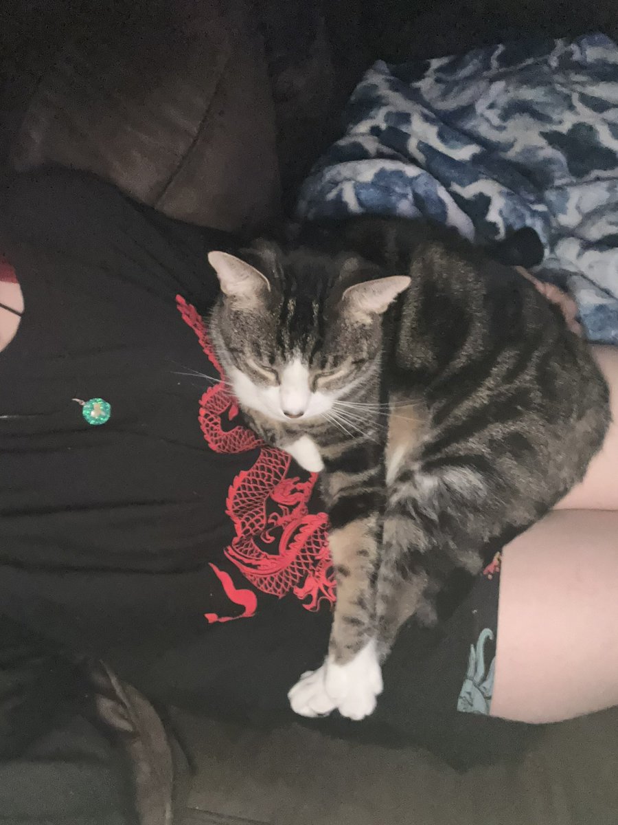piclawsso's tweet photo. i’ll always love you my beautiful baby
i hope they give you all the snacks you want up there https://t.co/WiF8UNNtRP