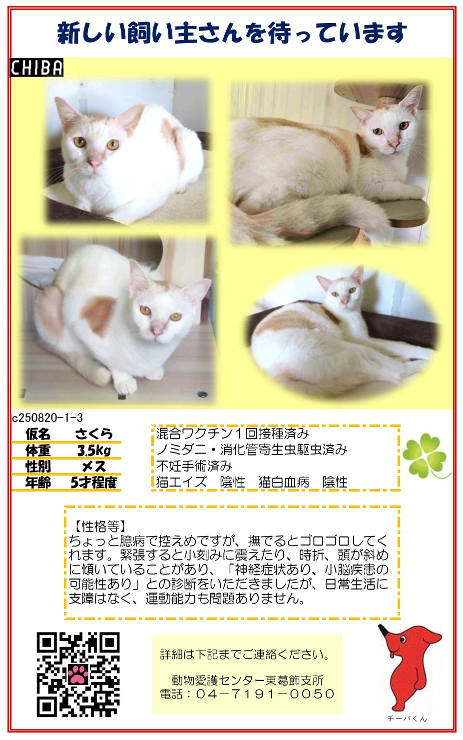 持ち主を開運へと導く⭐︎高千穂水晶ペンダントトップ☆保護猫セール☆ meg8888 on X: 