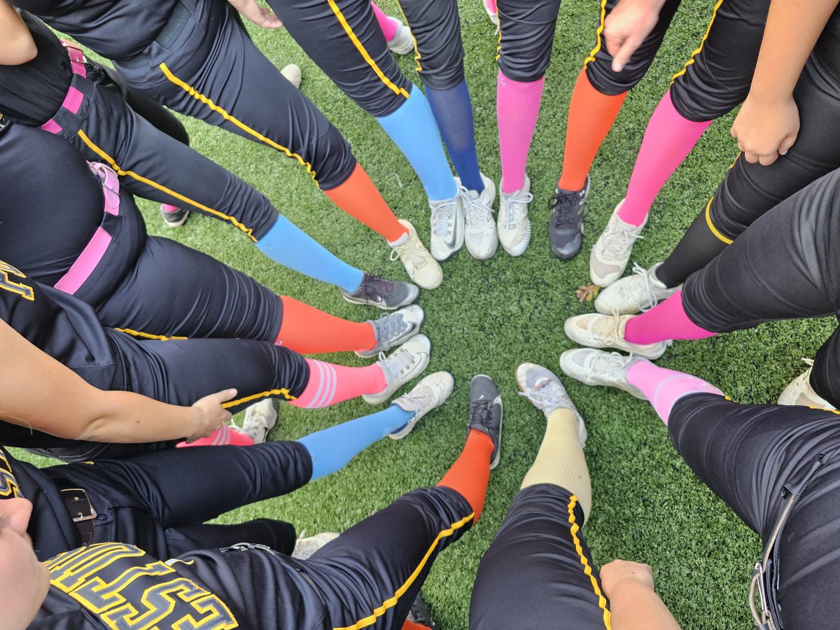 fhstigerss92328's tweet photo. Got the win at the Sock it to Cancer Game. Honored Ms Melissa Casteel and Ms Sarah Tschee.  Thanks everyone that attended.  Even got to show some respect for National Officials Week  @FestusR6Supt @FESTUSAthletics @MSHSAAOrg https://t.co/byvKWKfwGH