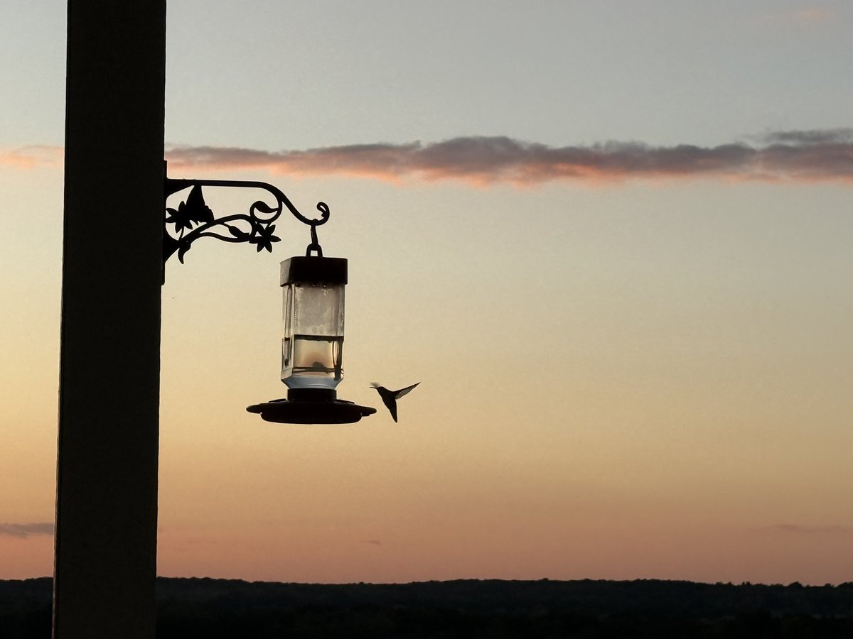 92 high west central
Indiana with amazing sunset and hummingbirds passing through! <a href="/SeanAshWX/">Sean Ash</a> <a href="/BrianWilkes59wx/">Brian Wilkes</a> <a href="/NWSIndianapolis/">NWS Indianapolis</a>