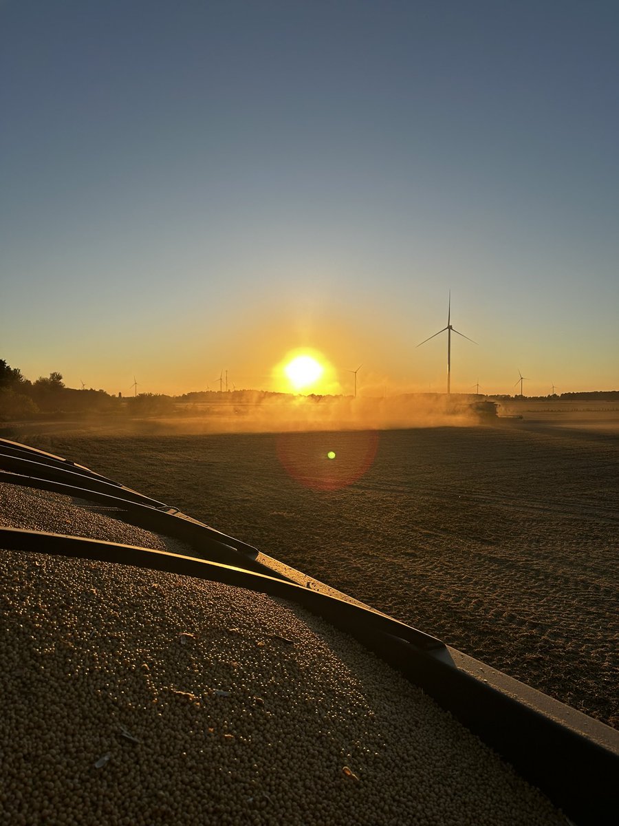 Follow the dust - great start to harvest ‘25 🤠🚜
<a href="/Chris1Renwick/">Lakeview Farmer🇨🇦</a>