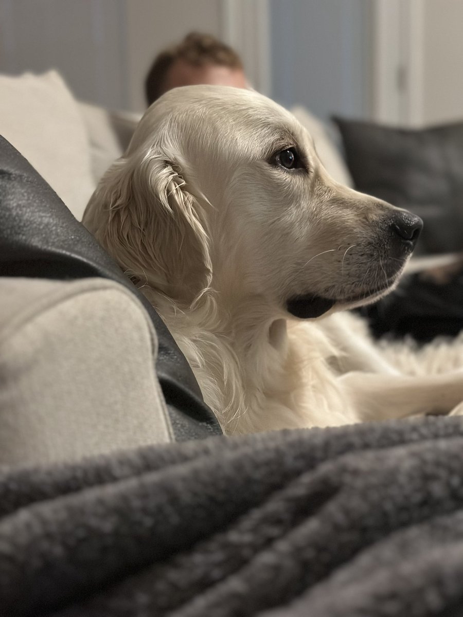 My dude relaxin watching TV