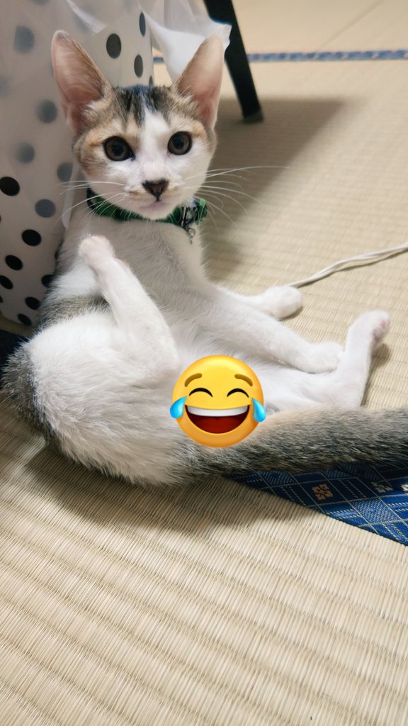 うぃ on X