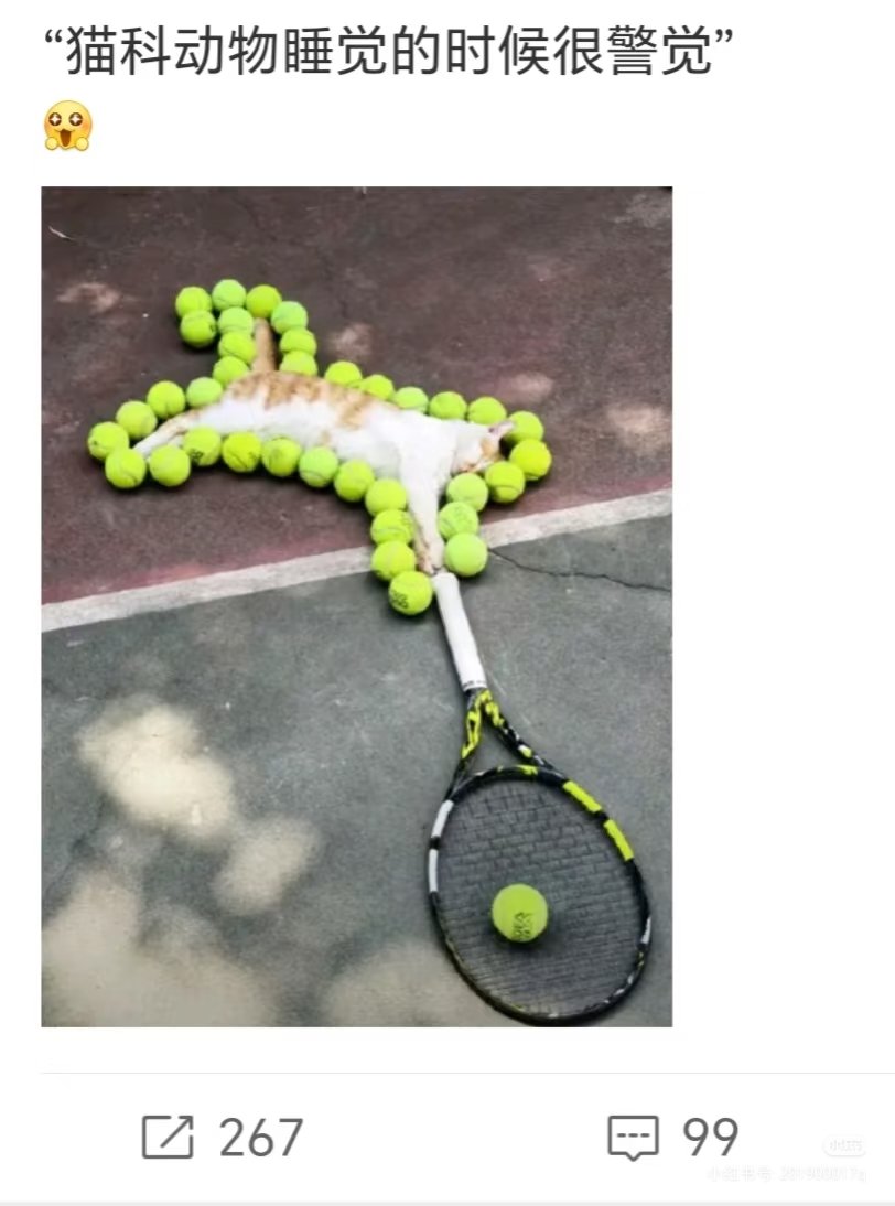 小惠cg99🖤🤍 tweet media