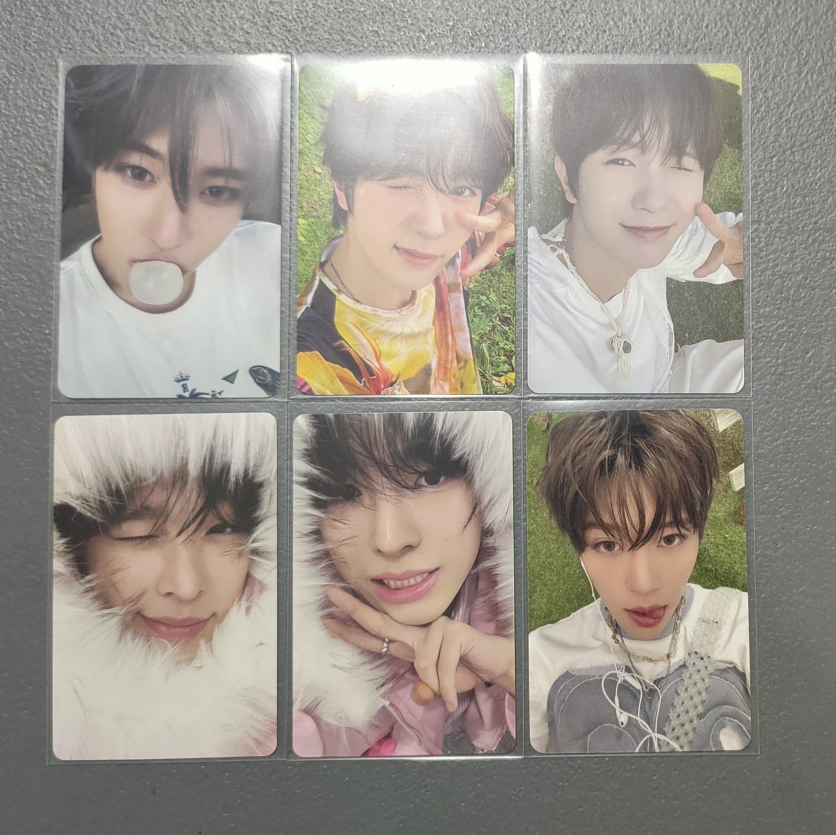 chaeromarket's tweet photo. wts lfb ph ww

nct wish official pc photocard
sion ₱300
sion color pob  ₱450
ryo pb ₱200
ryo surf ₱250
riku yushi limited pob ₱350 ea

payo
gcash
jnt, lbc https://t.co/jfwiKqpXCy