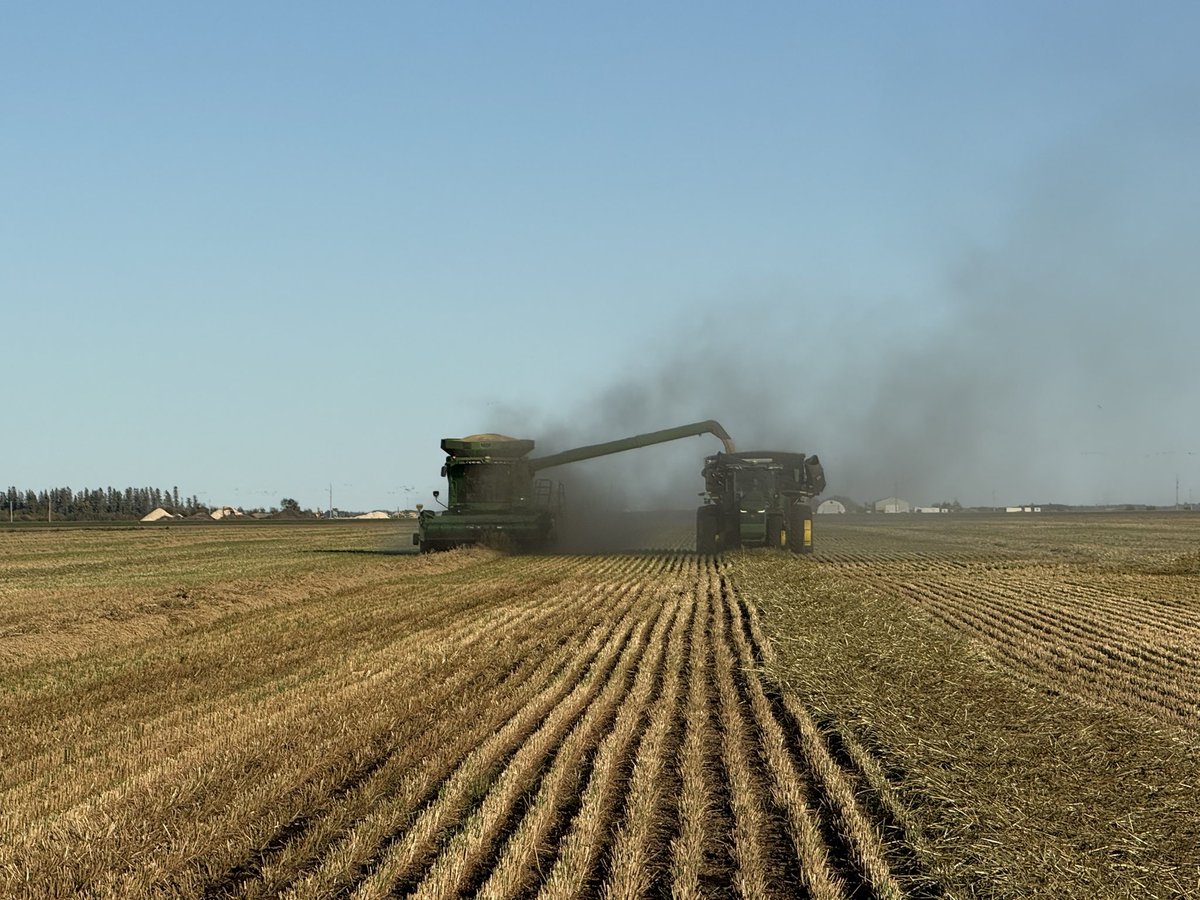 Joanne Johnson tweet media