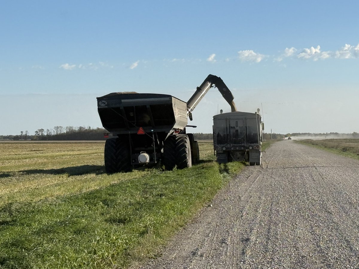 Joanne Johnson tweet media