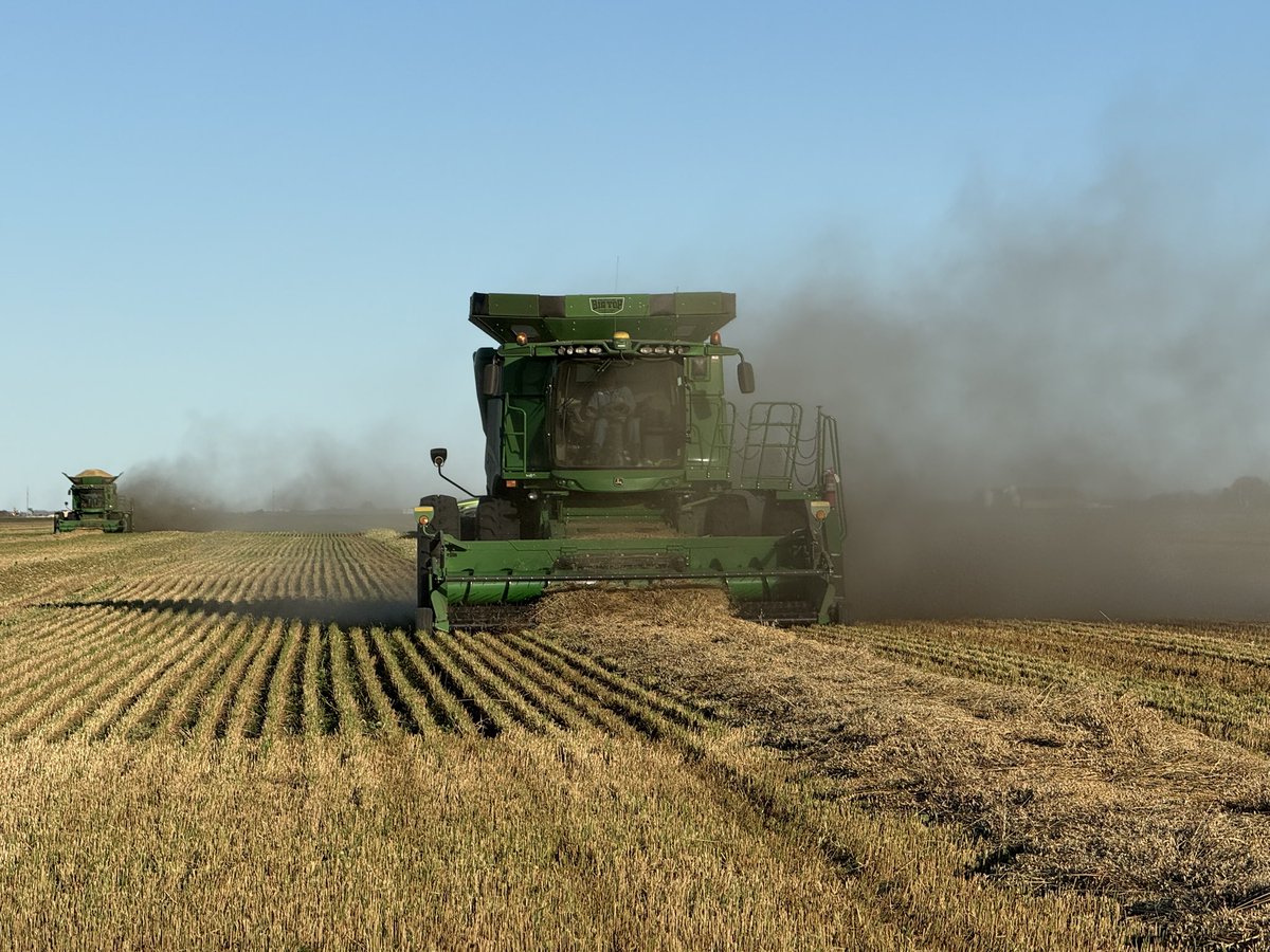 Joanne Johnson tweet media