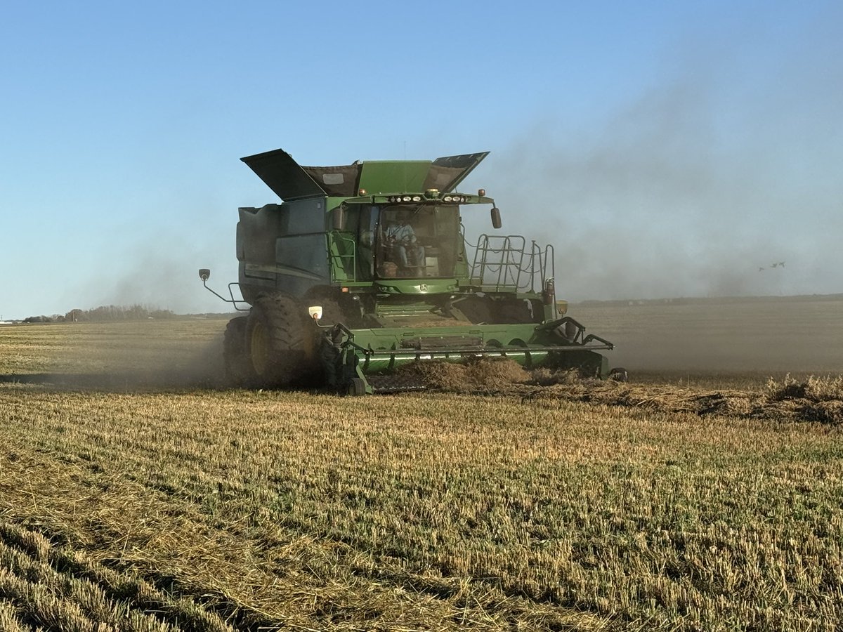 Joanne Johnson tweet media