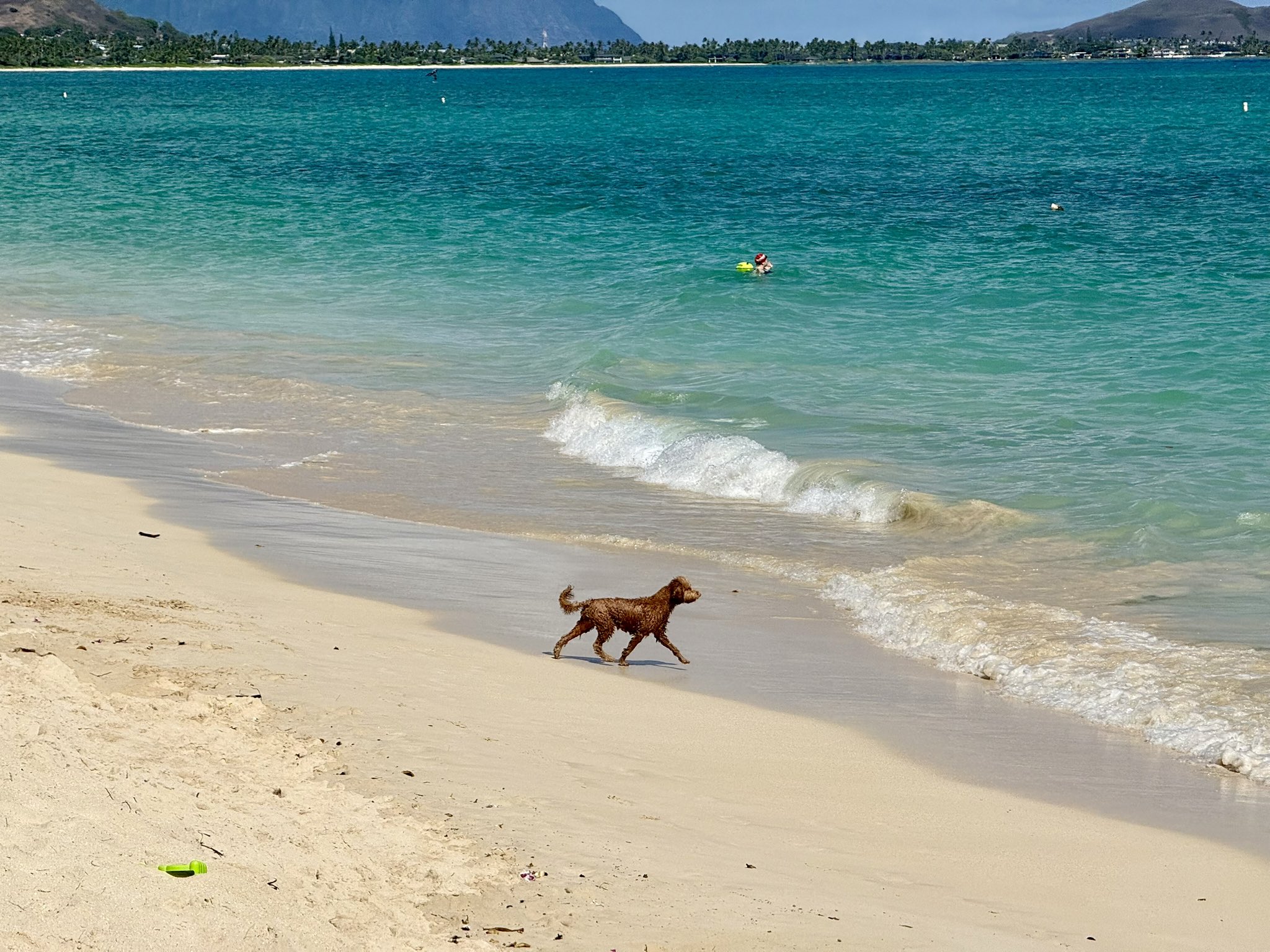 専用♡カイルアビーチ♡ハワイ♡インテリア♡ロンハーマン 専用♡カイルアビーチ♡ハワイ♡インテリア♡ロンハーマン Ron