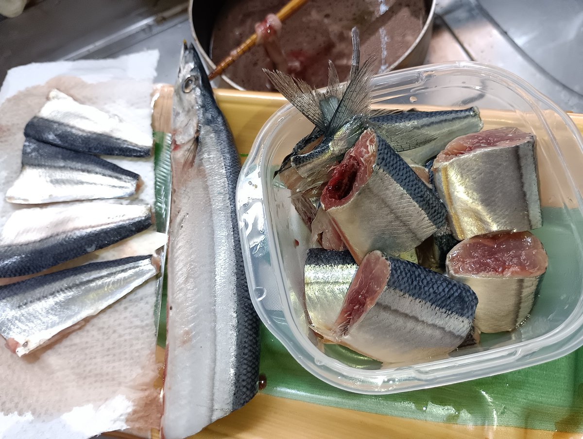 アニサキス様オーダー 楽天市場】アニサキスの通販