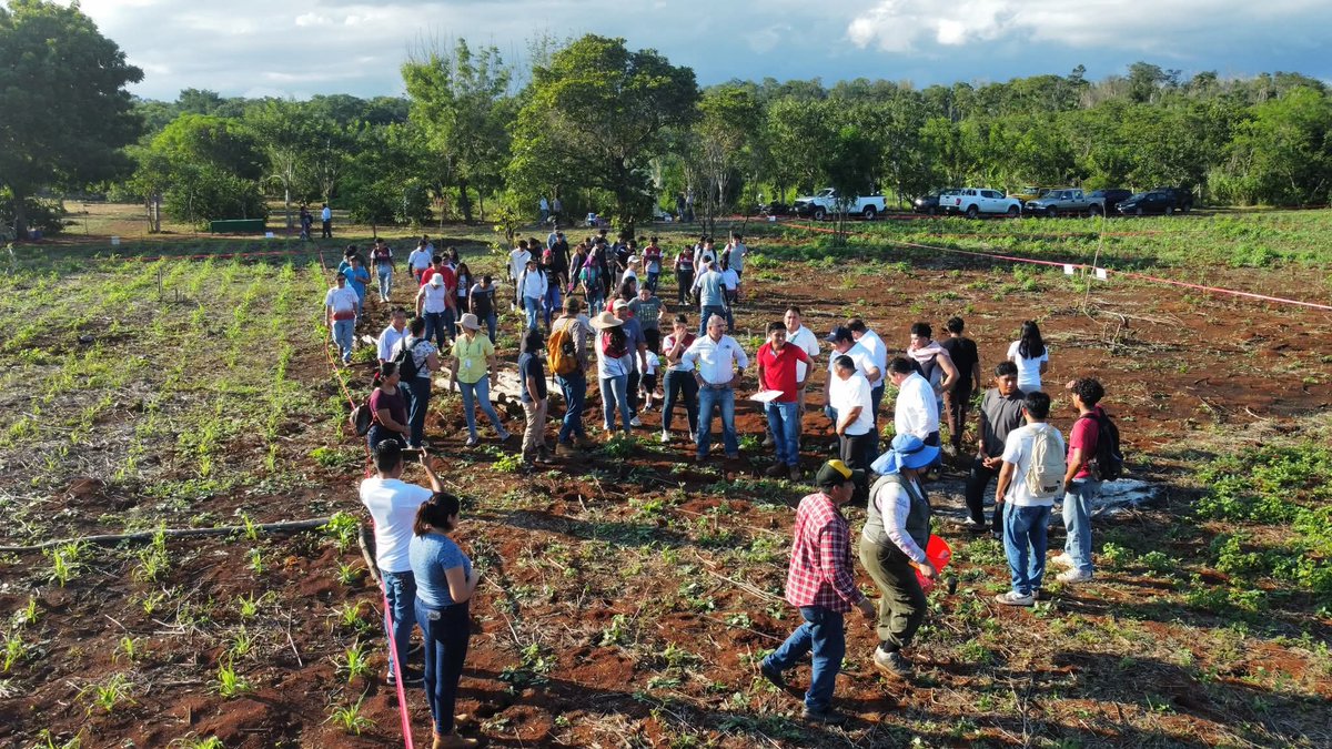 SEDARPE_QROO's tweet photo. 🌽 En #JoséMaríaMorelos, el Centro de Innovación Apícola de la UIMQROO organizó actividades en el marco del Día Nacional del Maíz.  
El #EquipoSEDARPE y su titular Jorge Aguilar participó en territorio escuchando a las juventudes.. 
Con el respaldo de la gobernadora Mara Lezama. https://t.co/NTclLZetsI