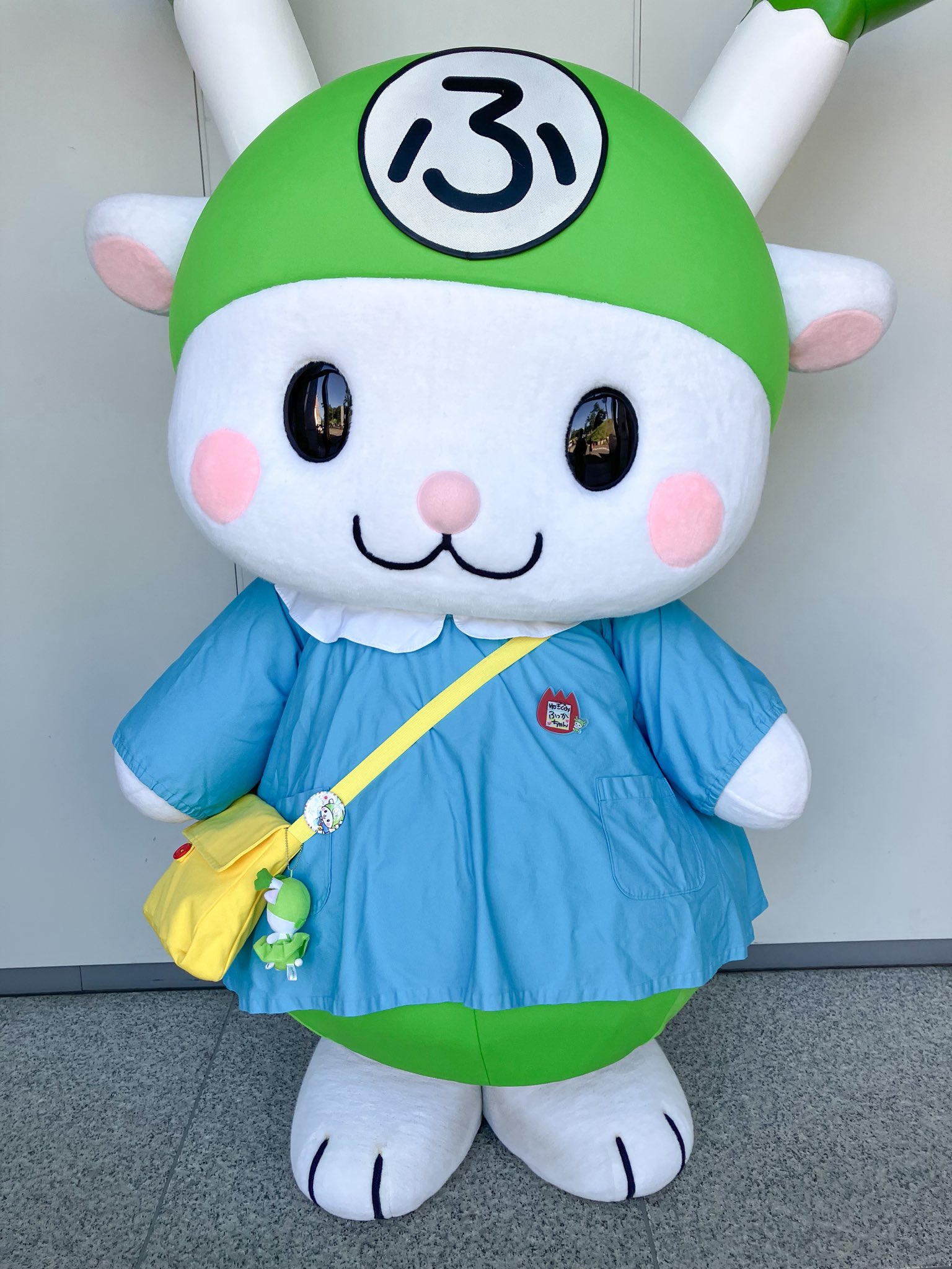 ふっかちゃんページです！2点セットアップ ふっかちゃんページです！2点セットアップ ふっかちゃんページ