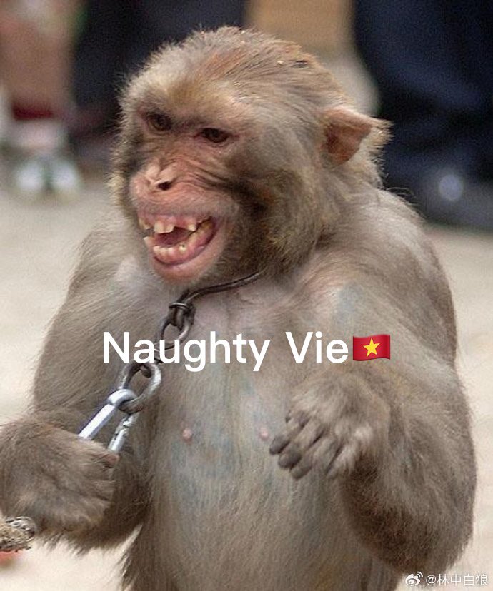 MarkD798's tweet photo. Vietnamese meme https://t.co/gxhZHIR57b